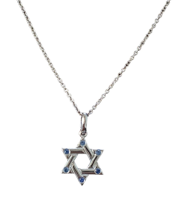 Star of David Ruby/ Sapphire Necklace in 14K White Gold