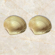 Oceanic Elegance with 14k Yellow Gold Shell Clip-On Earrings