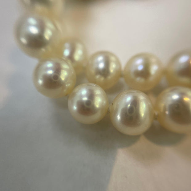 Glamorous Cultured Pearl Double Strand Necklace with 14k Yellow Gold Clasp